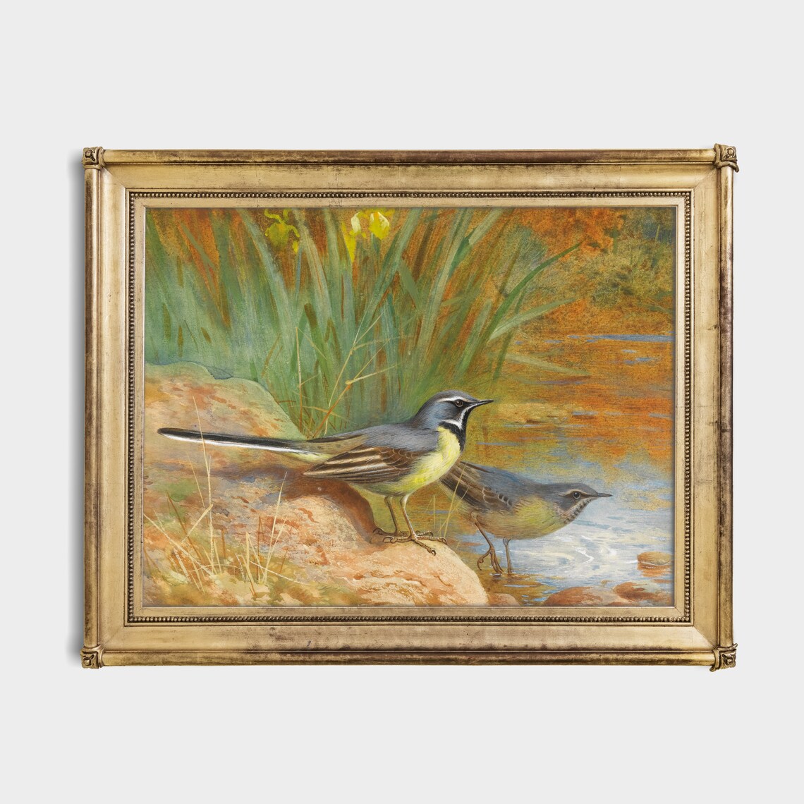Gray Wagtails by the Riverside Vintage Bird Illustration Poster - Image 2
