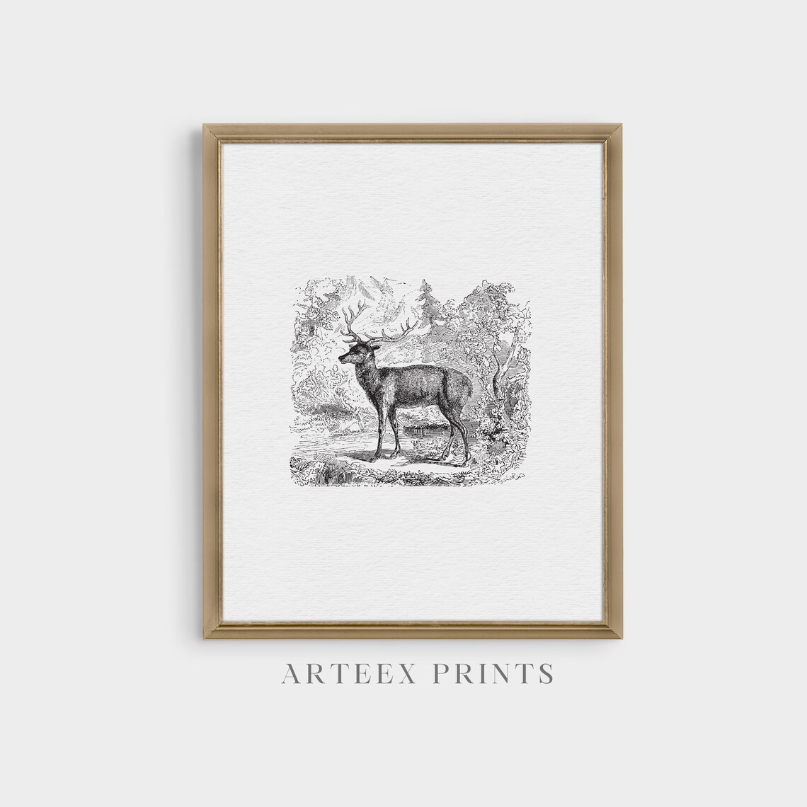 Standing Stag in Woodland Antique Engraving Vignette Minimalist Wall Art - Image 3