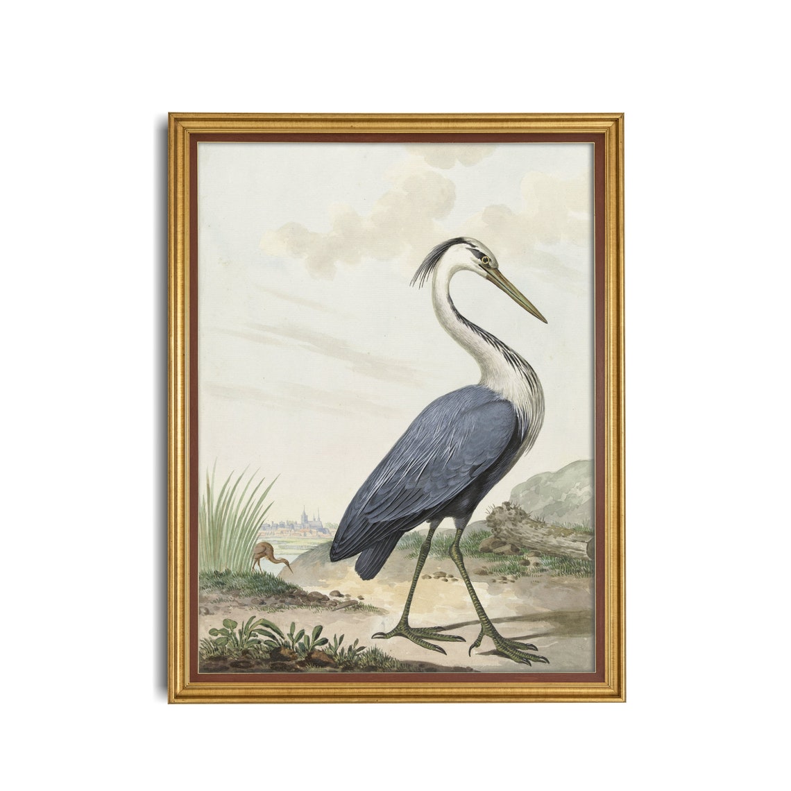 Blue Heron in Wetlands Vintage Natural History Bird Study Poster - Image 3