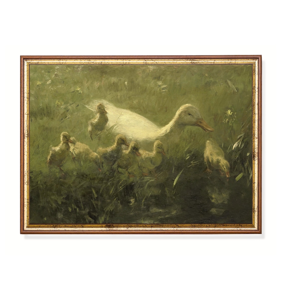 White Duck Leading Ducklings to Water Vintage Farmhouse Art Poster