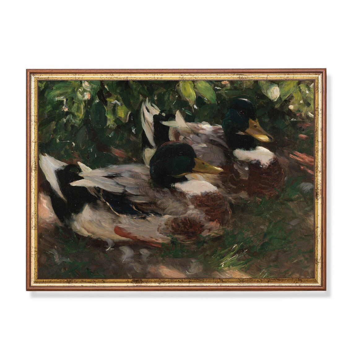 Two Resting Mallard Ducks in the Grass Vintage Wildlife Poster