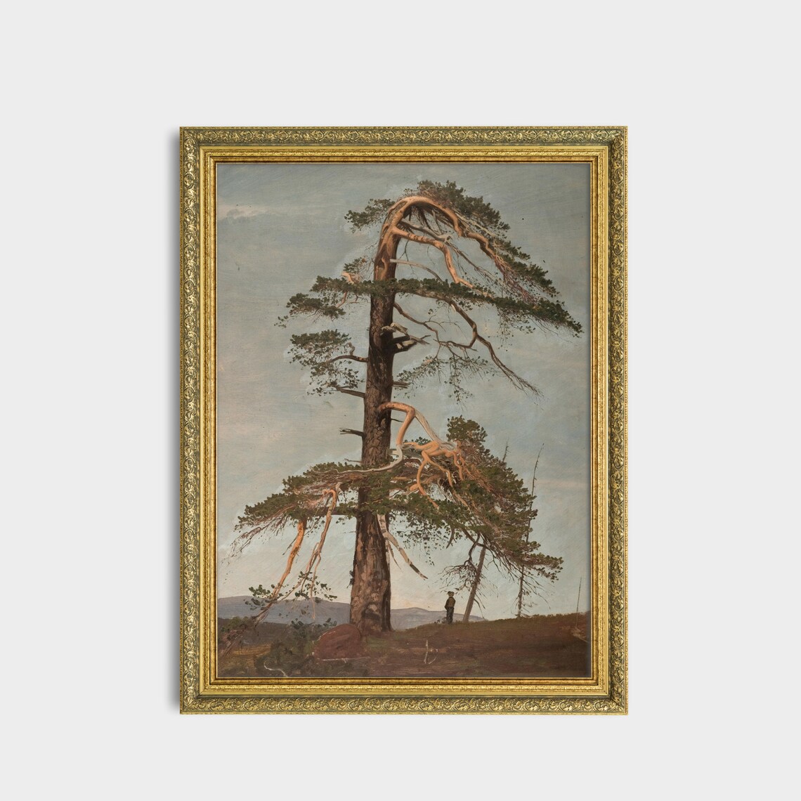 Windswept Pine Tree on a Hilltop Vintage Oil Painting Art Poster - Image 3