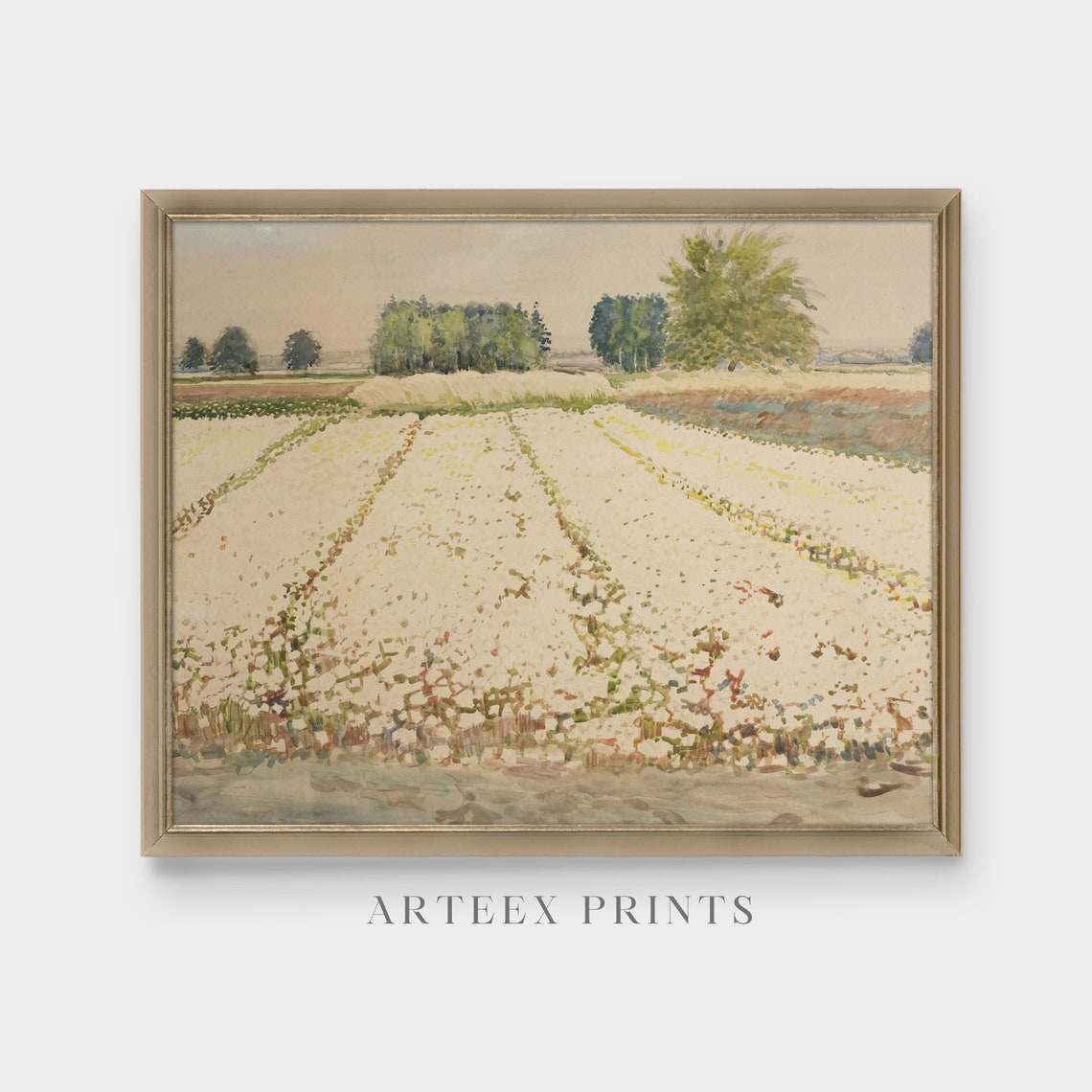 Field of White Blossoms with Trees on the Distant Horizon Poster - Image 4