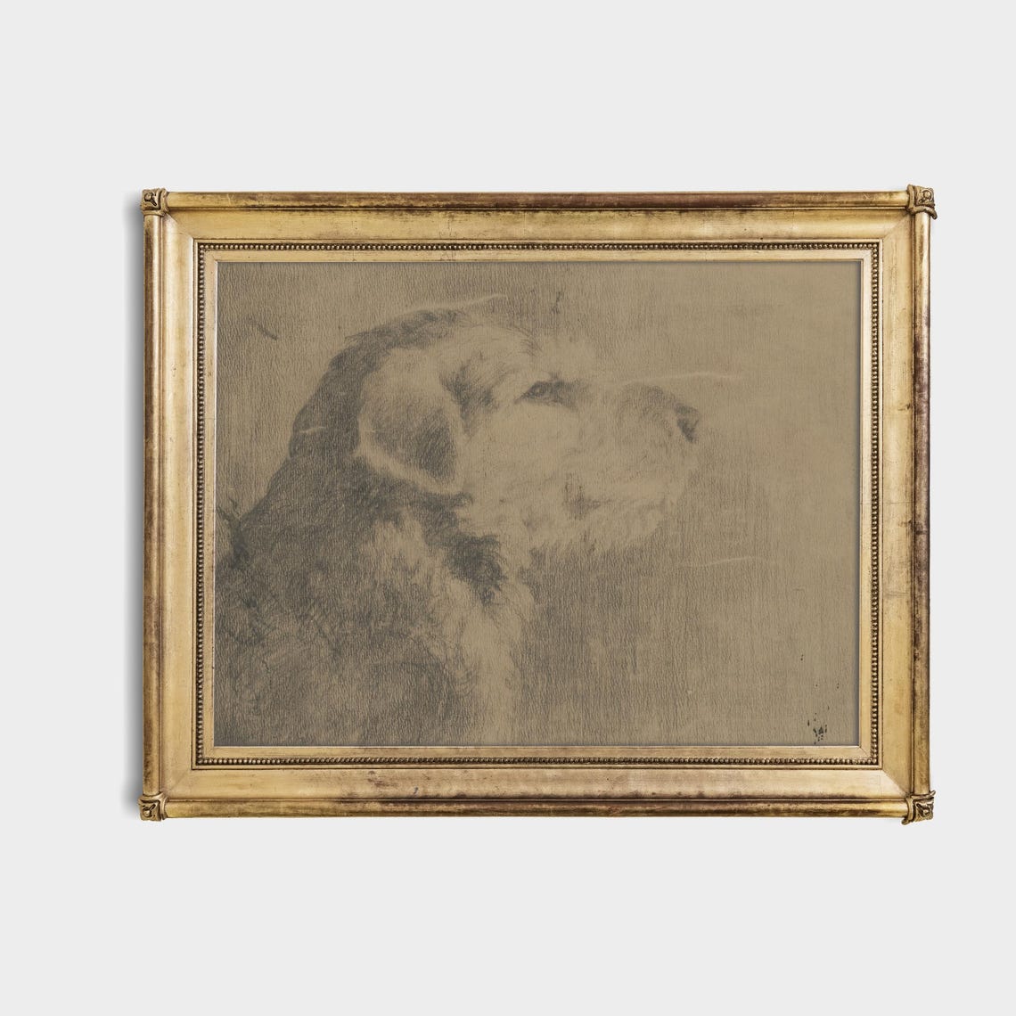 Charcoal Shaggy Dog Head Portrait Sketch Rustic Animal Art Poster - Image 4