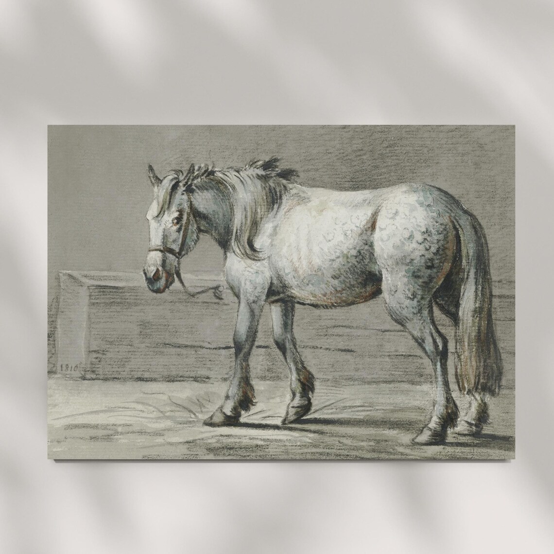 Antique Dapple Grey Horse Sketch Dated 1810 Equestrian Drawing Poster