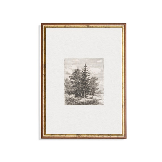 Vintage Sketch Drawing Antique Landscape Print Forest Drawing Artwork Minimalist Wall Art Farmhouse Decor