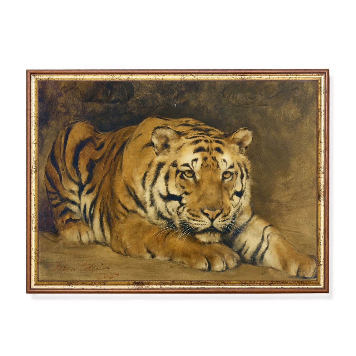 Majestic Tiger Vintage Wildlife Art Big Cat Painting Antique Animal Print Fierce Tiger Portrait Classic Nature Artwork