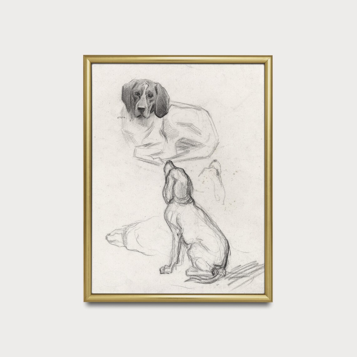 Hound Dog Study Pencil Sketches Antique Animal Drawing Wall Art - Image 5