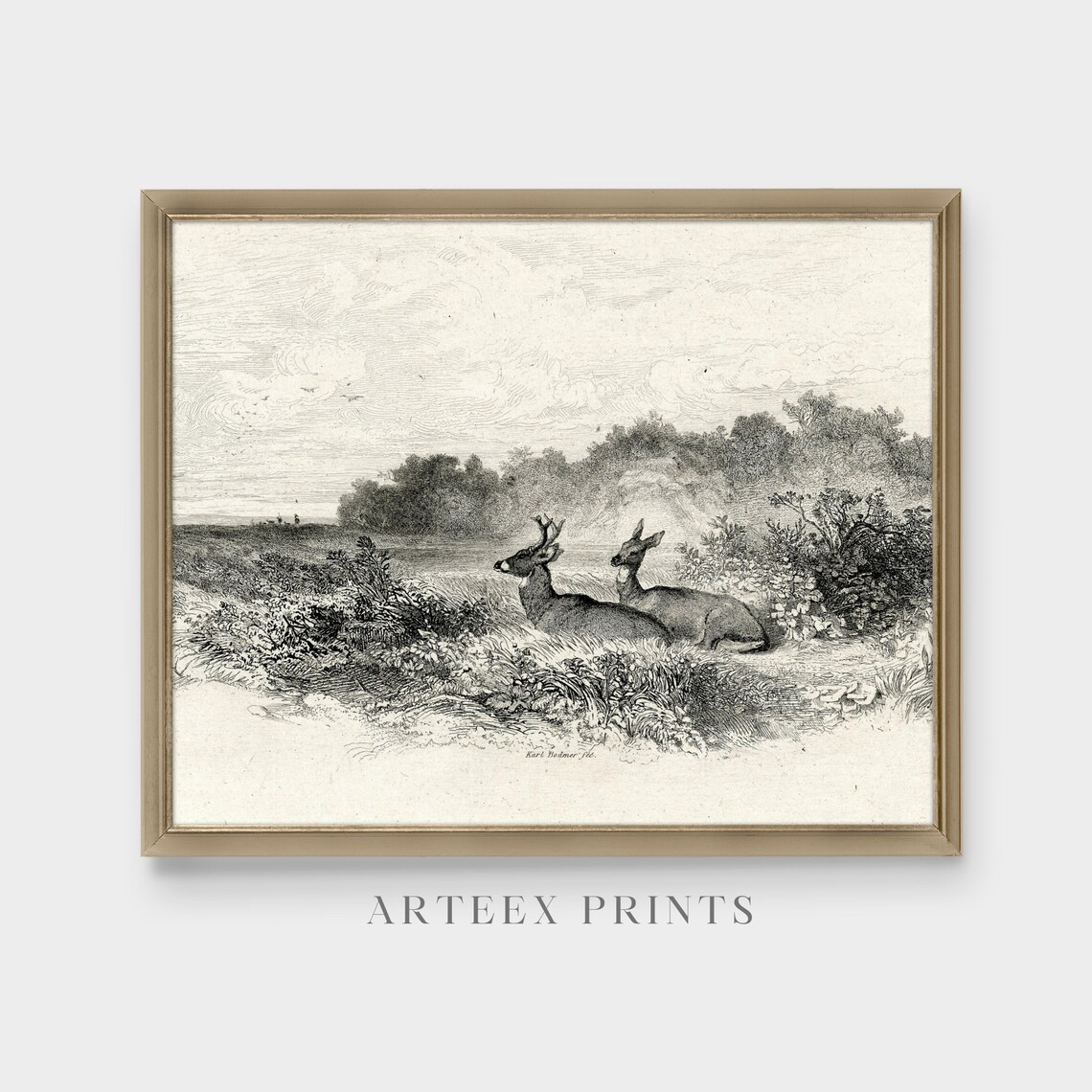 Vintage Deer Sketch, Neutral Farmhouse Art Print - Image 5