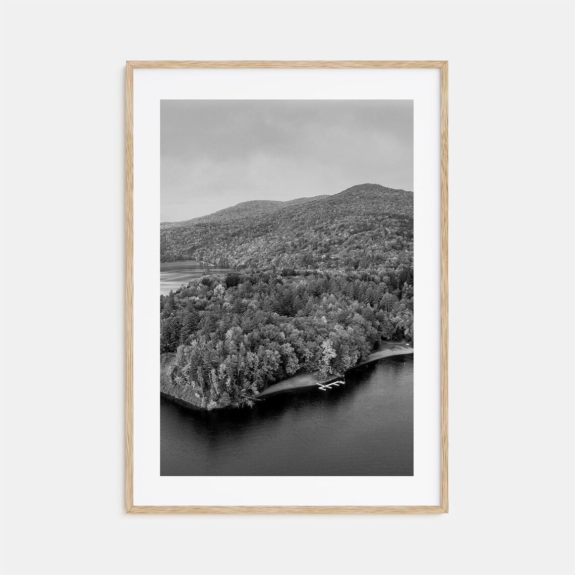 Vermont Green Mountains Lake Black And White Forest Landscape Poster