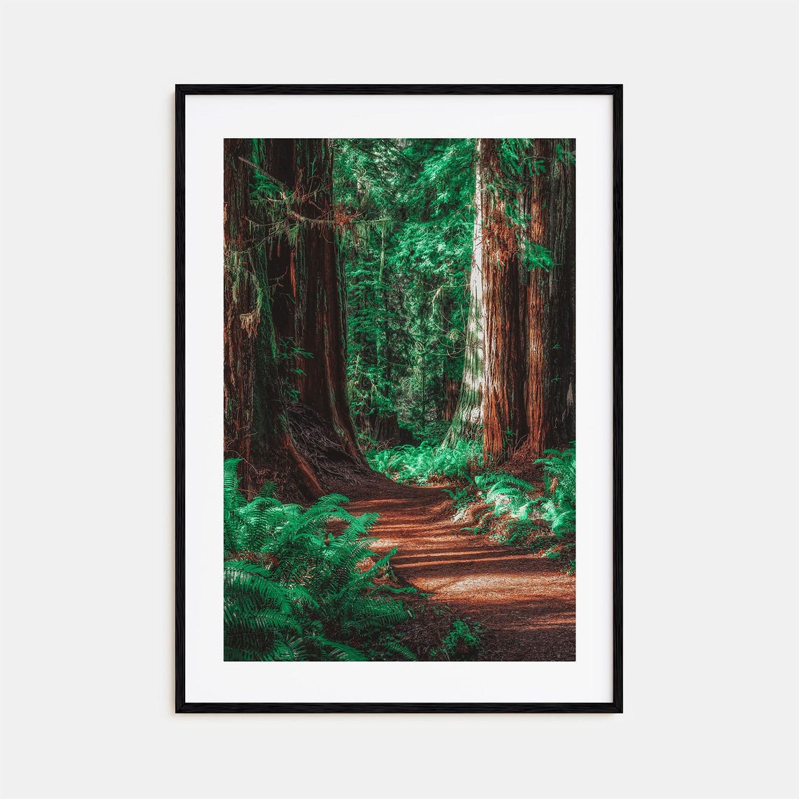 Redwood National Park Colorful Poster Print No 2 Redwood National Park Photo Art Wall Decor Travel Print Street Map Poster City Map