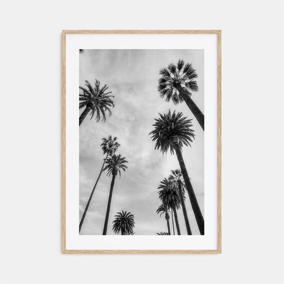 Santa Monica Black And White Travel Poster, No. 1