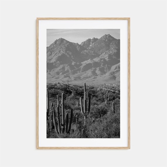 Saguaro National Park Desert Cacti Black And White Photography Poster