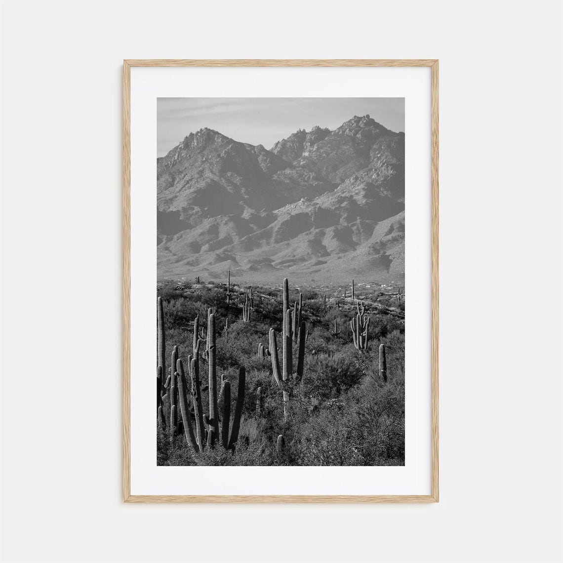 Saguaro National Park Desert Cacti Black And White Photography Poster