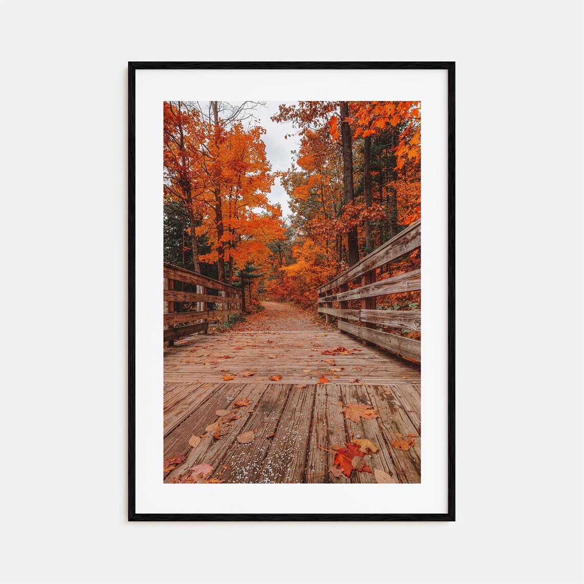 Traverse City Michigan Autumn Boardwalk Maple Forest Photo Poster