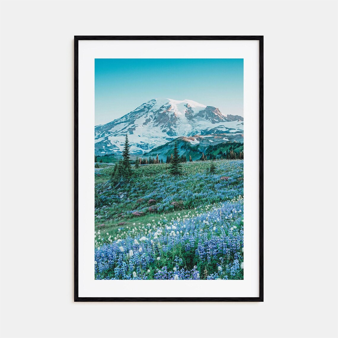 Mount Rainier Snowy Peak Above Lupine Wildflower Meadow Photo Poster