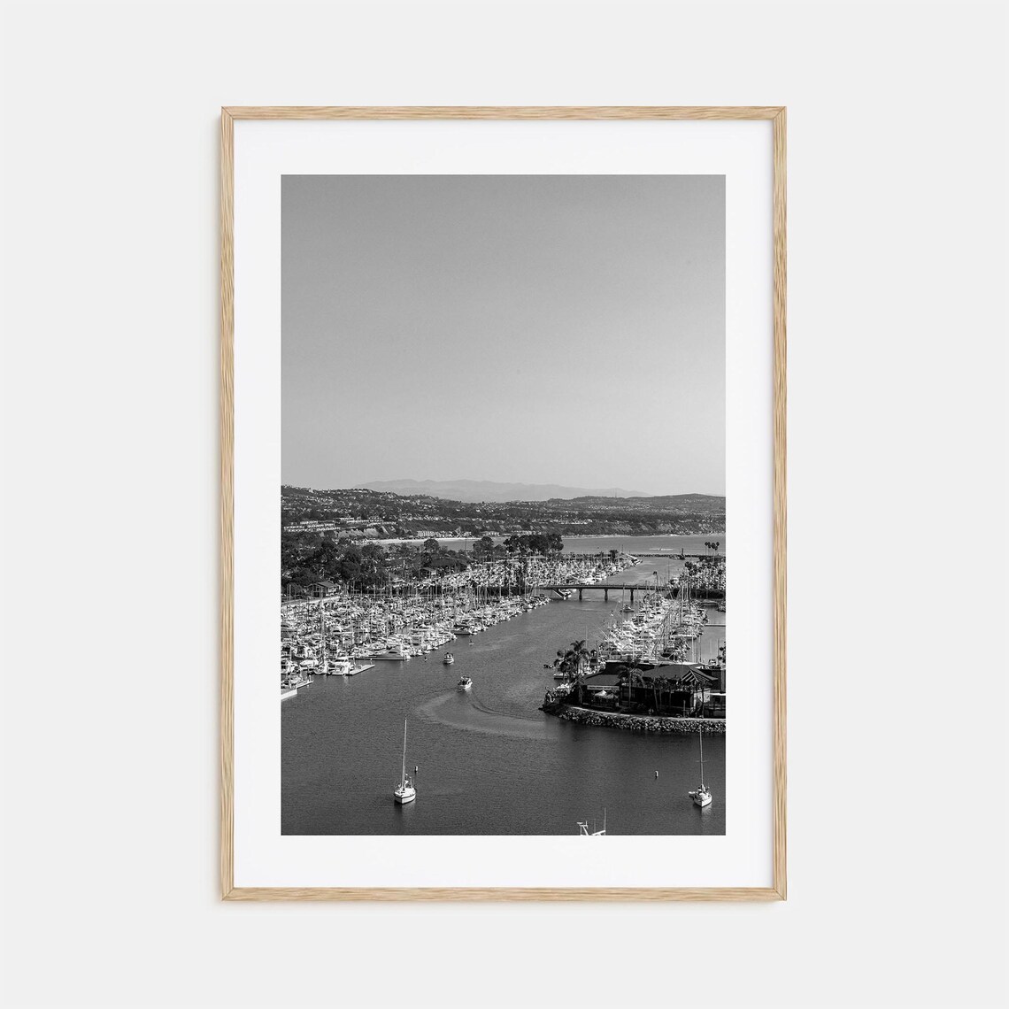 Dana Point Harbor Marina Sailboats California Coast Black White Poster