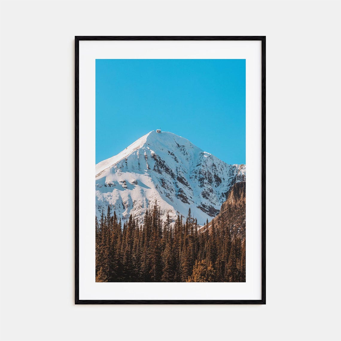 Snow Capped Mountain Peak Pine Forest Blue Sky Photo Art Print