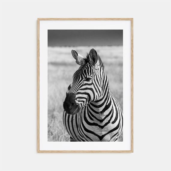 Zebra Photo Poster Print No 1 Zebra Black And White Wall Art Zebra Wall Photography Zebra Travel Zebra Map Poster