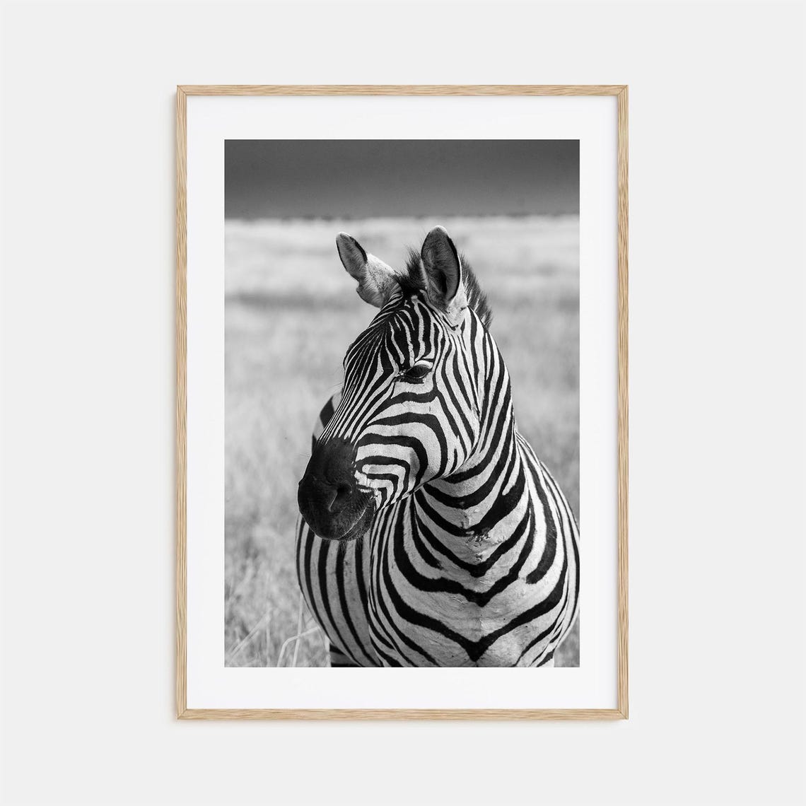 Zebra Photo Poster Print No 1 Zebra Black And White Wall Art Zebra Wall Photography Zebra Travel Zebra Map Poster