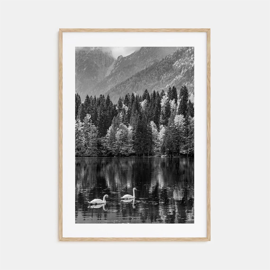 Swan Lake Photo Poster Print No 1 Swan Lake Black And White Art Swan Lake Photography Swan Lake Travel Swan Lake Map Poster