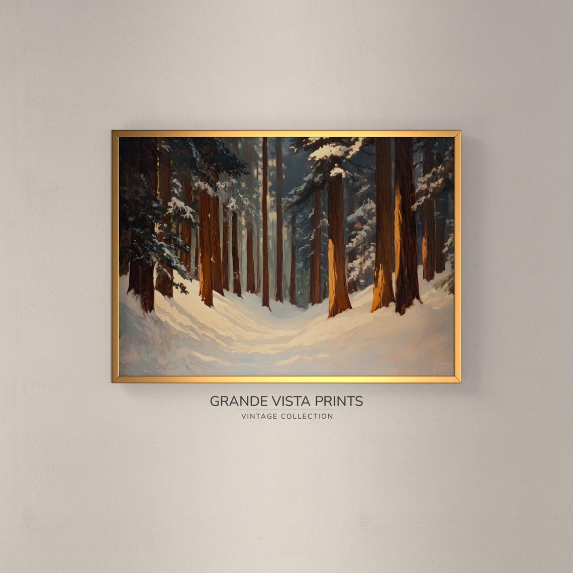 Snowy Pine Forest Winter Sunlight Redwood Grove Morning Travel Poster