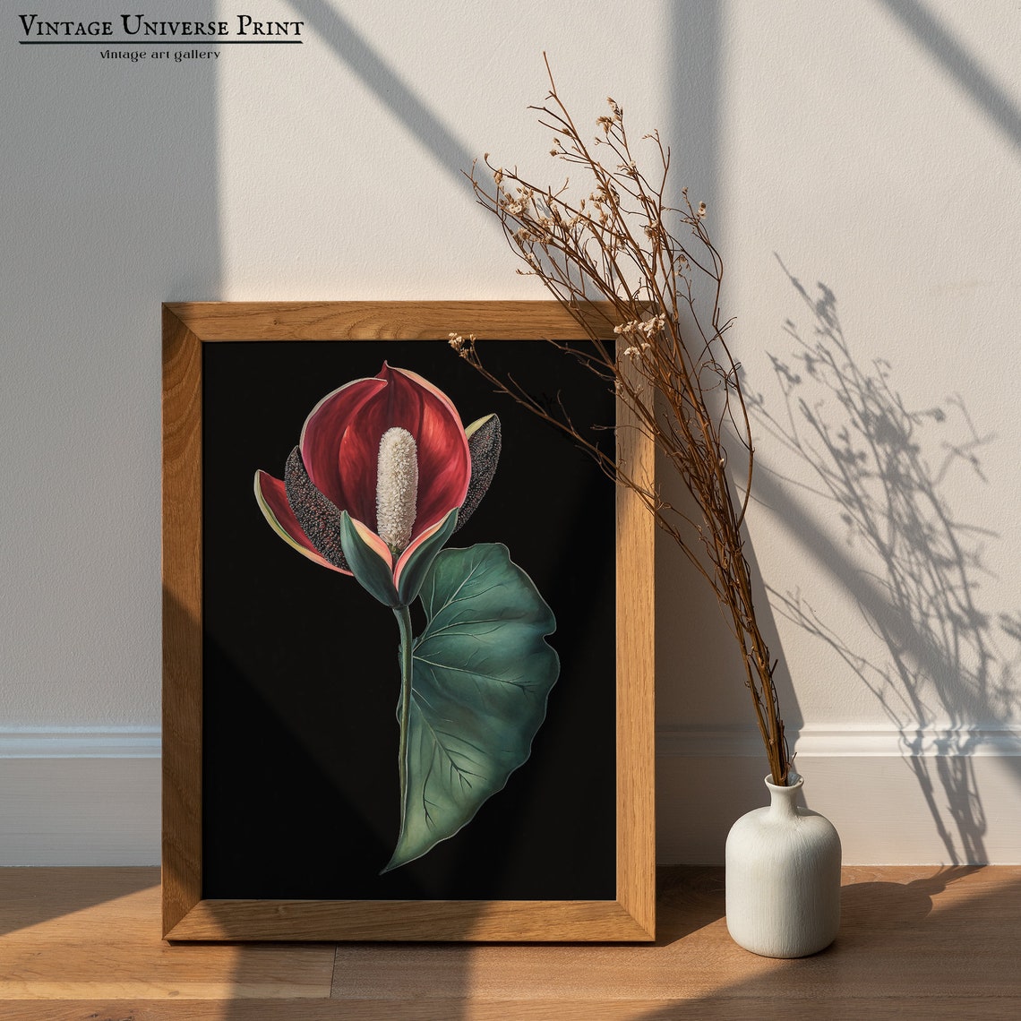 Red Anthurium Bloom Black Background Botanical Illustration Poster - Image 5