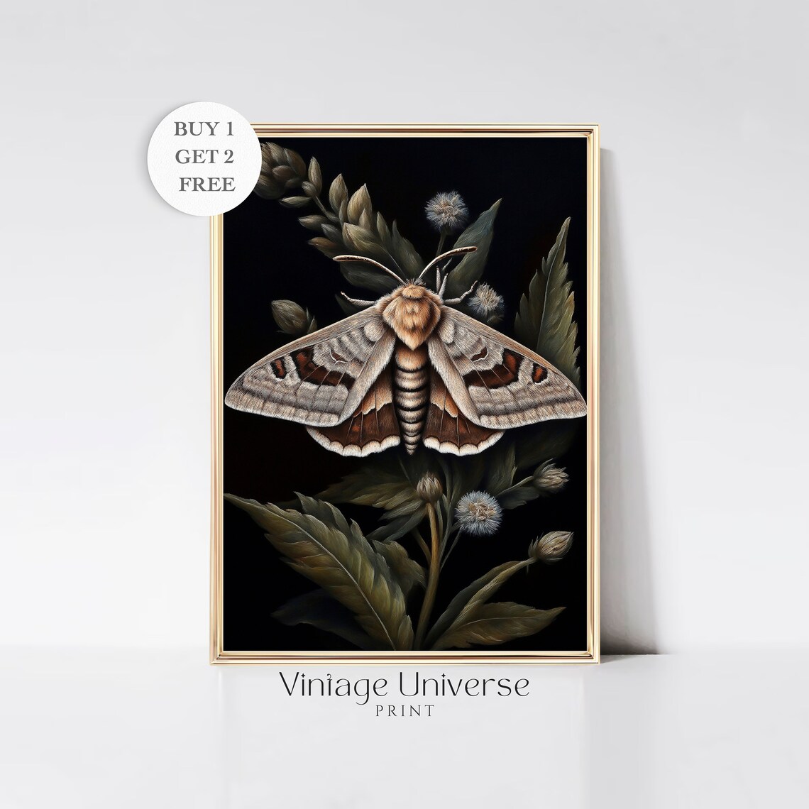 Vintage Moth Illustration with Botanical Leaves Dark Art Poster