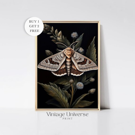 Vintage Moth Illustration with Botanical Leaves Dark Art Poster