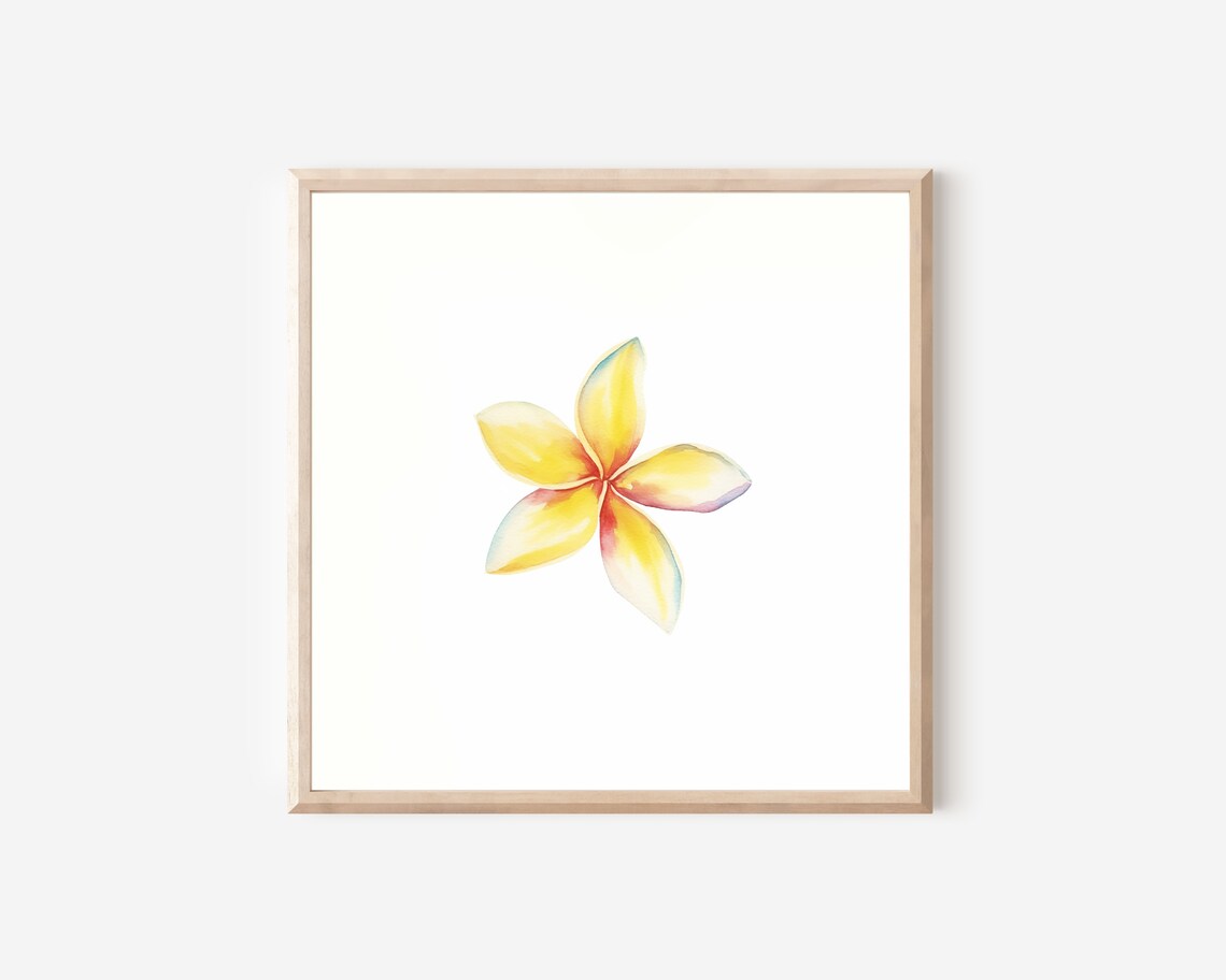 Hawaii Plumeria Watercolor Art Print for Home