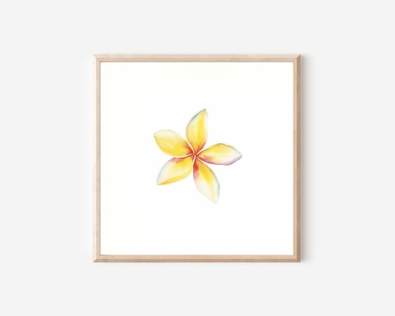 Hawaii Plumeria Watercolor Art Print for Home