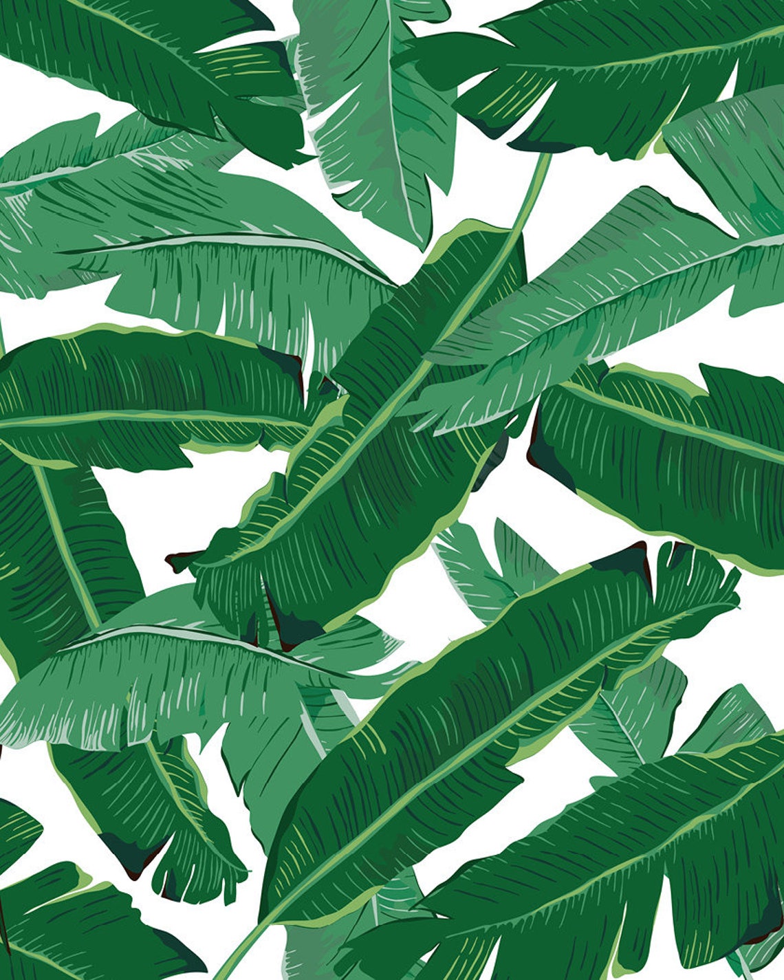 Tropical Banana Leaves Green White Botanical Fresh Wall Poster