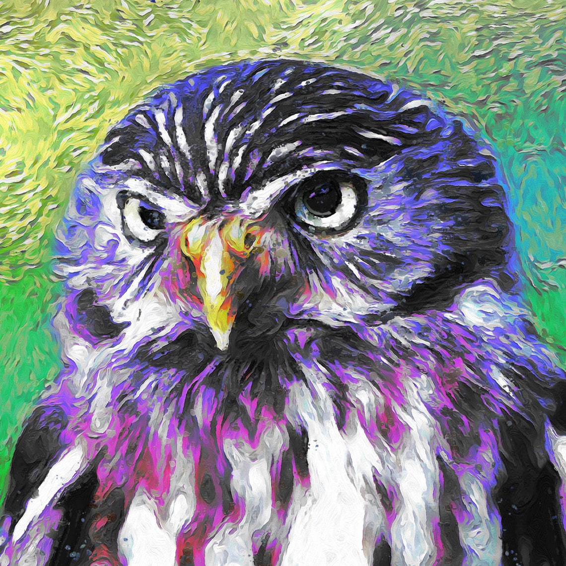 Owl Portrait Vibrant Purple Green Impressionist Wildlife Art Print - Image 3