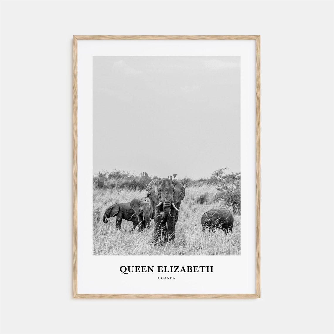 Queen Elizabeth National Park Uganda Elephant Herd Safari Poster