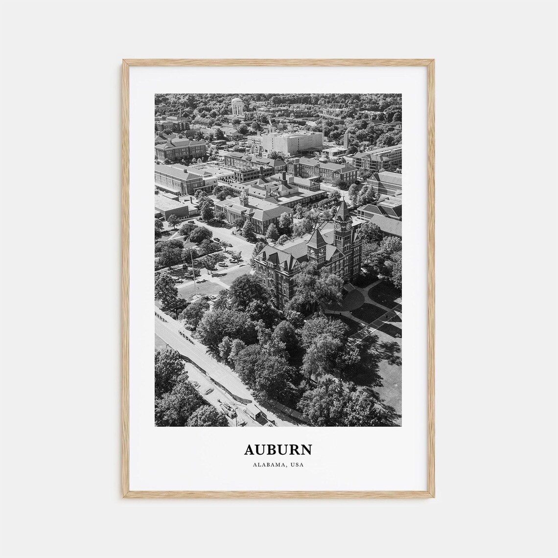 Auburn Alabama Campus Historic Buildings Aerial Black White Print