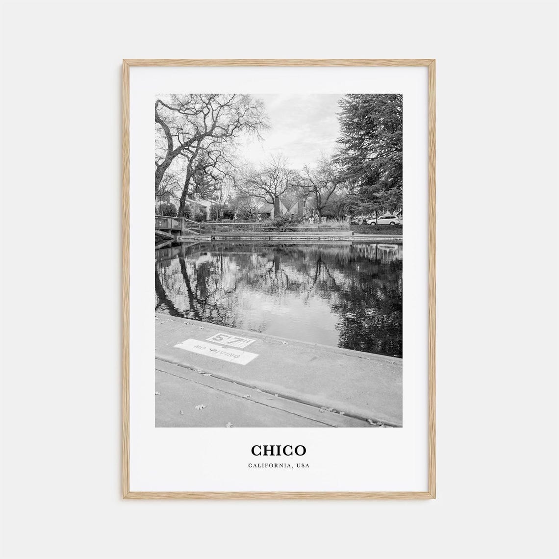 Chico California Park Pool with Tree Reflection Scene Poster