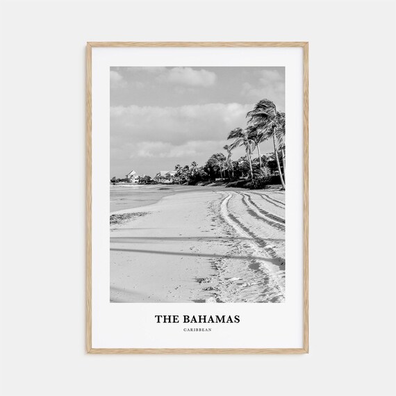 The Bahamas Windswept Shoreline Palms Black and White Photography Poster
