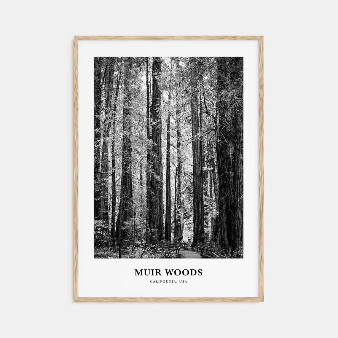 Muir Woods Redwood Forest Trail Black and White Nature Poster