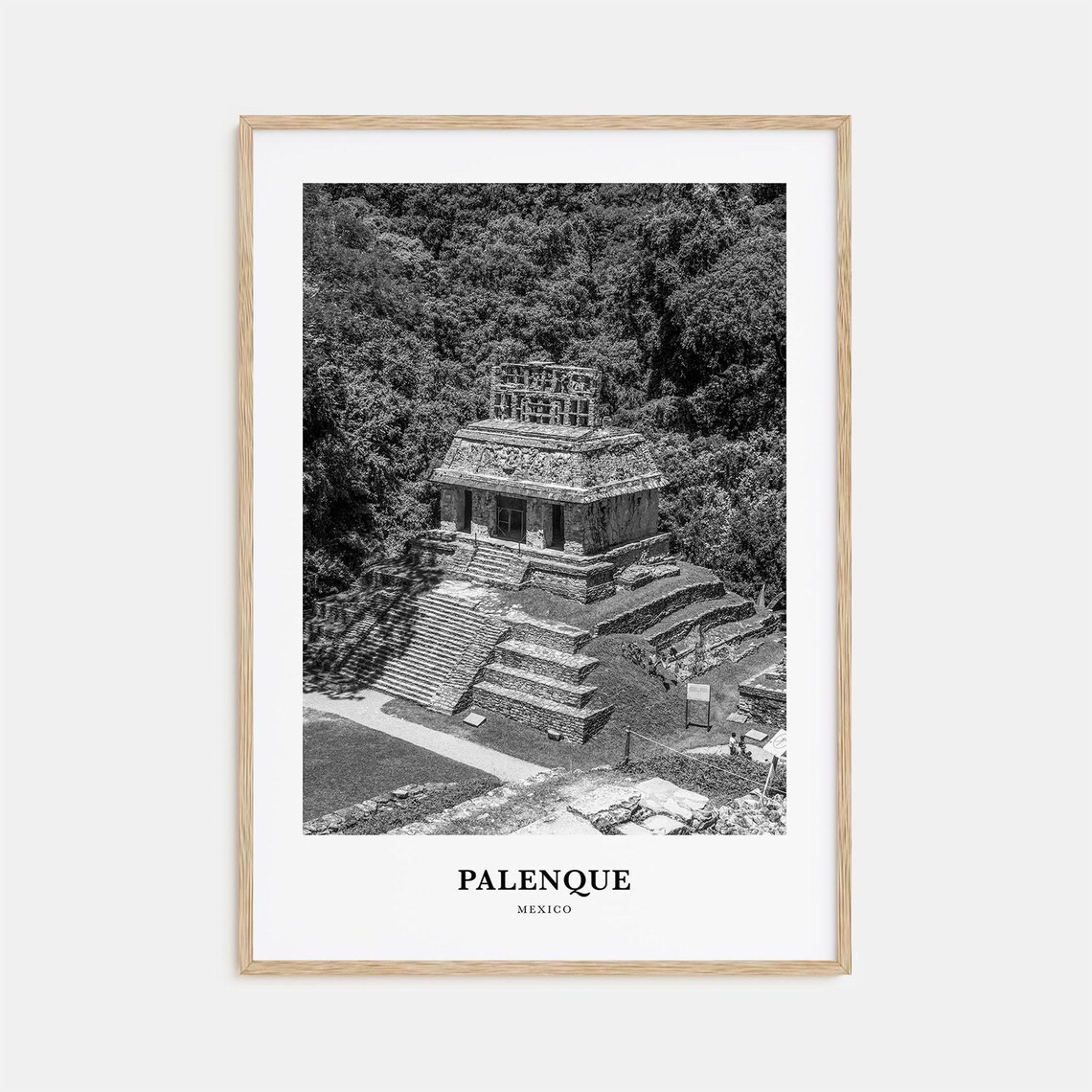 Palenque Mexico Ancient Maya Pyramid Jungle Black and White Poster