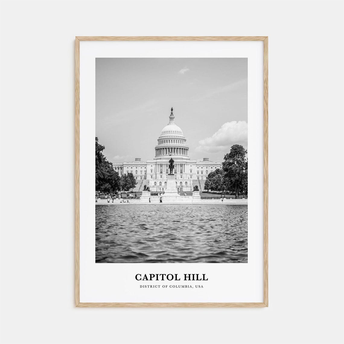 Capitol Hill Washington DC US Capitol Reflecting Pool Travel Poster