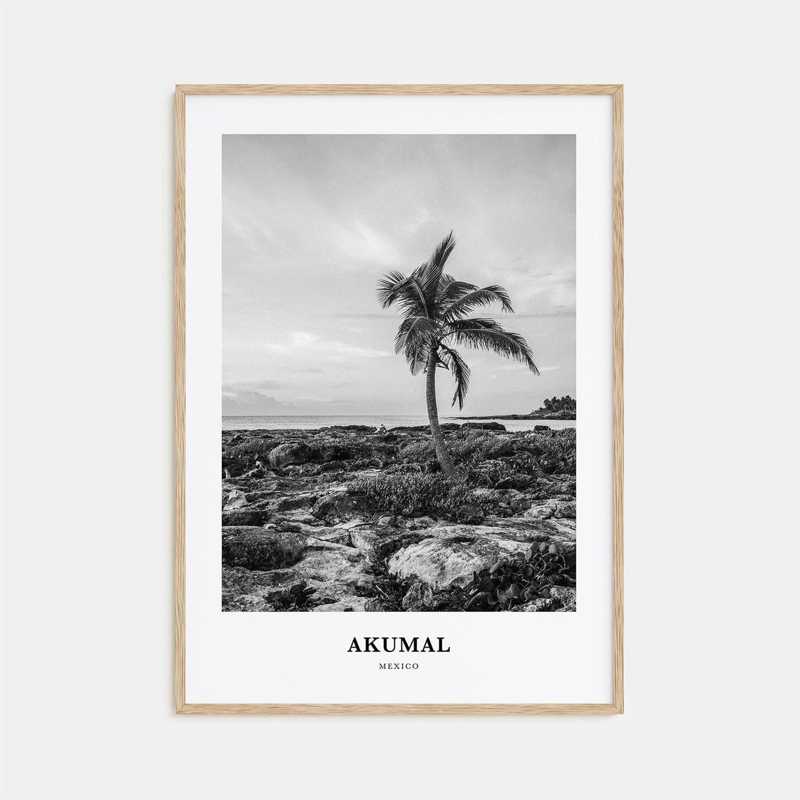 Akumal Palm Tree Rocky Beach Black and White Mexico Travel Poster