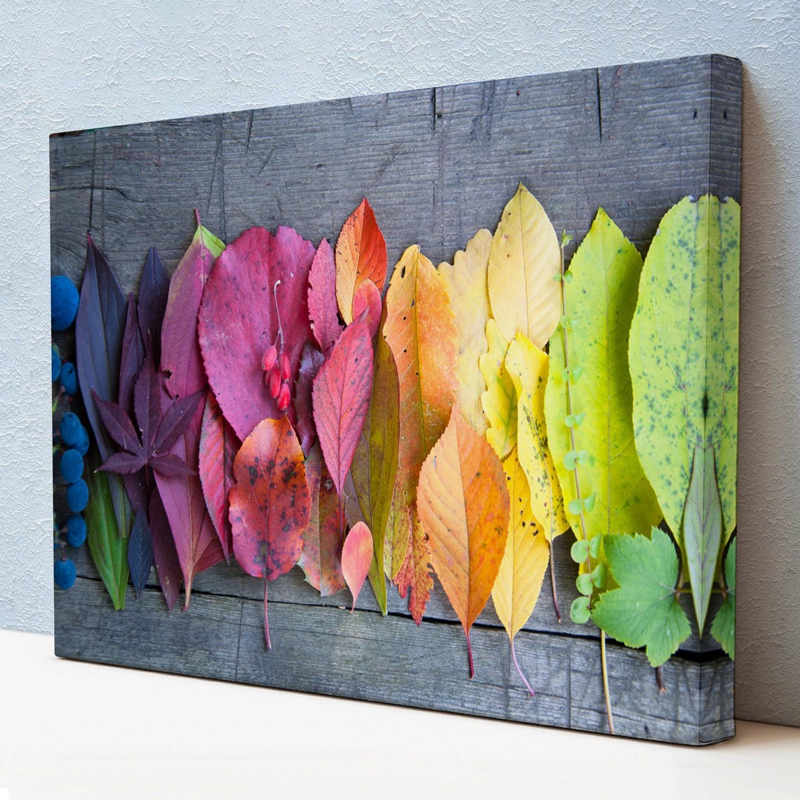 Rainbow Autumn Leaves Row Rustic Wood Colorful Botanical Photo Print