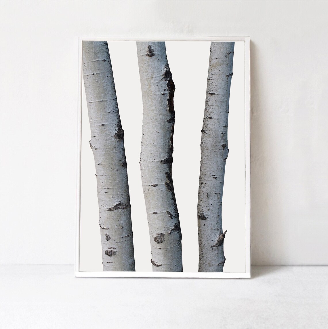 Silver Birch Tree, Scandinavian Modern Wall Art
