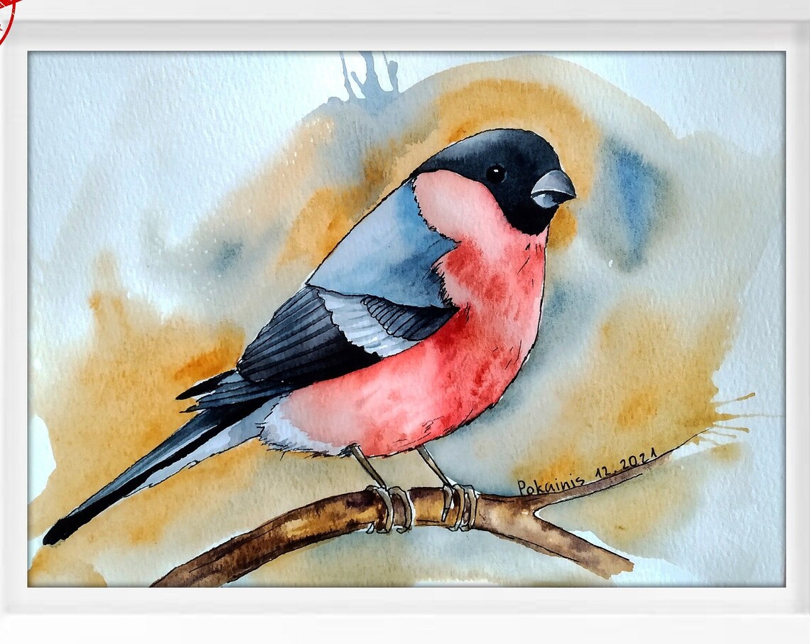 Rosy Breasted Bullfinch Branch Golden Wash Watercolor Poster
