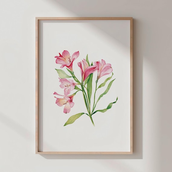Alstroemeria Watercolor Print Botanical Wall Art
