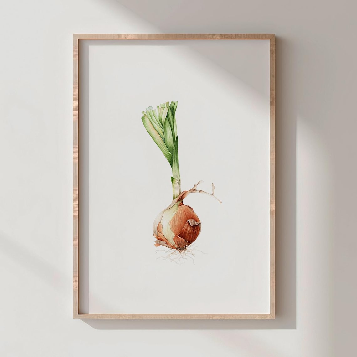 Watercolor Onion Print, Rustic Kitchen Art Print