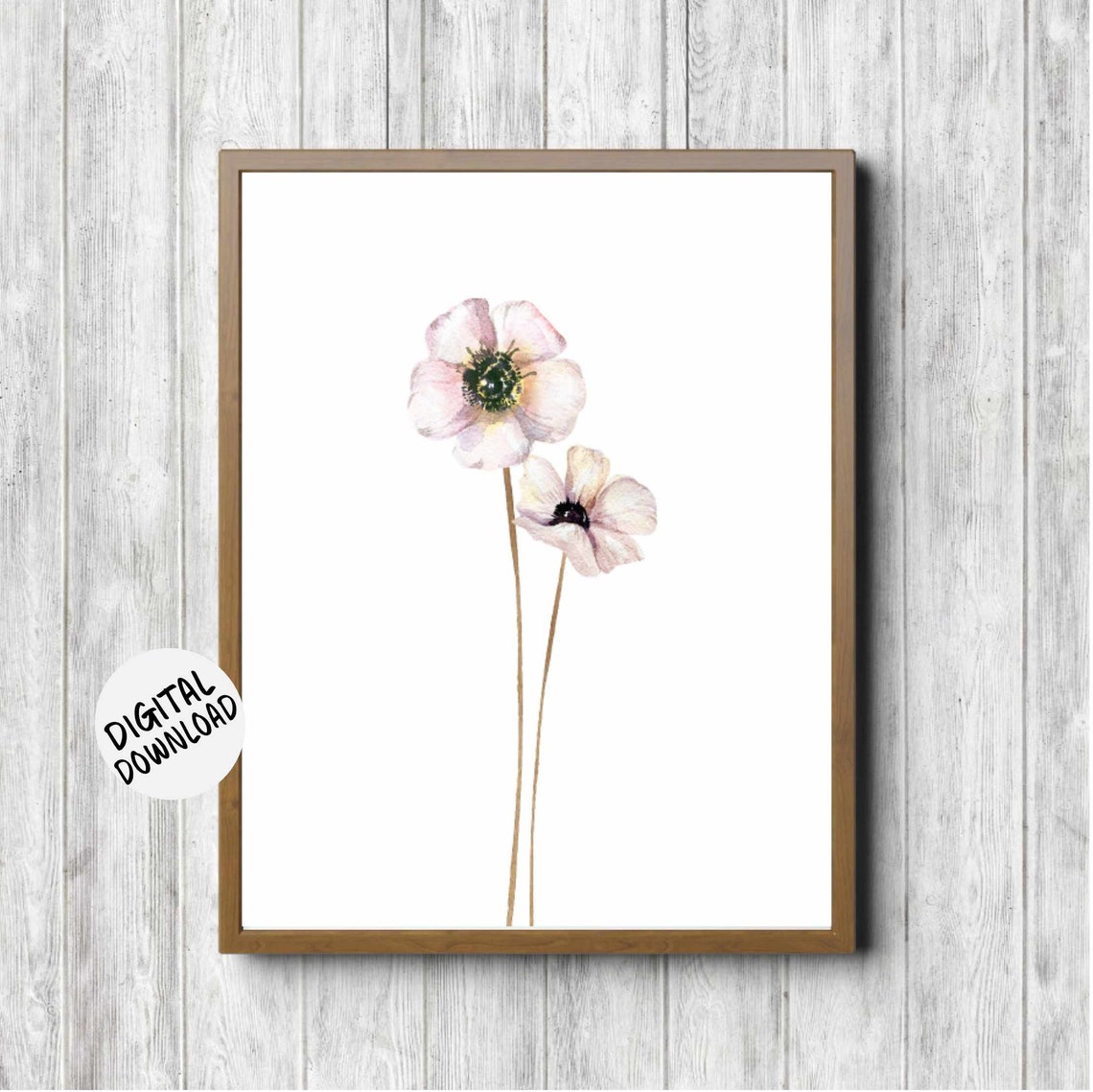 Delicate Blush Pink Anemone Pair Watercolor Floral Art Poster