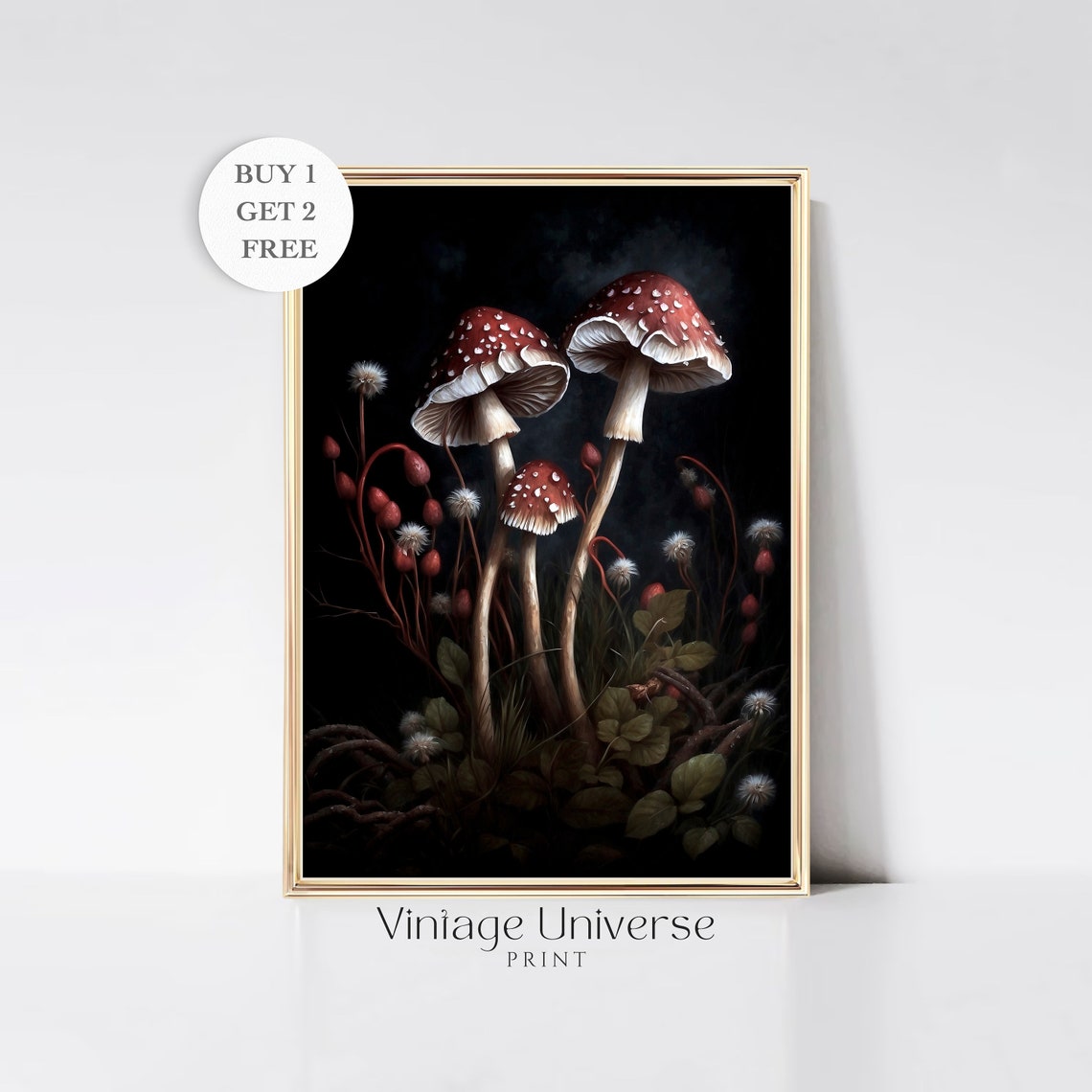 Red Fly Agaric Mushrooms With Seed Heads On Black Background Poster
