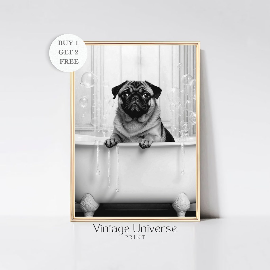 Cute Pug Dog Soaking In Bubble Bathtub Black And White Poster
