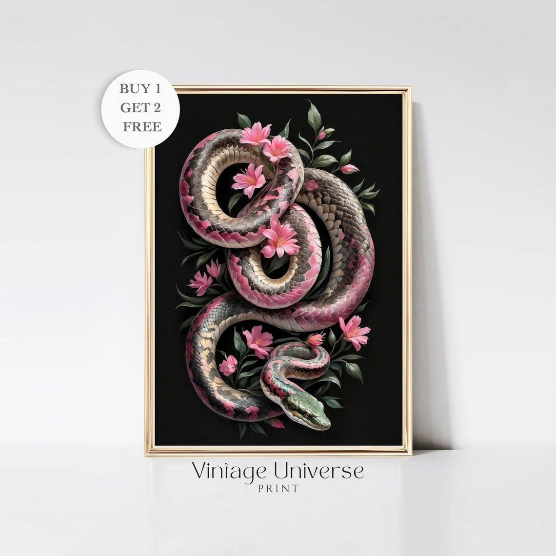 Pink Snake Blossoms Moody Botanical Black Background Wall Art